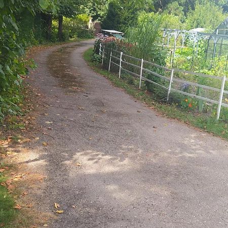 Logement Independant Attenant A Une Maison Dans Grand Jardin Retournac Buitenkant foto