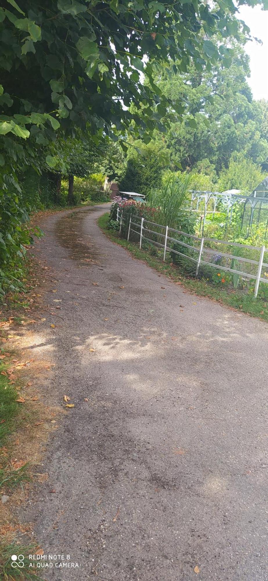 Logement Independant Attenant A Une Maison Dans Grand Jardin Retournac Buitenkant foto